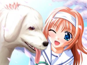 Animaux